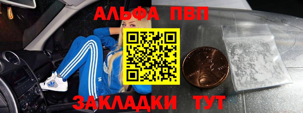 Alfa_PVP СК  даркнет сайт  Заволжье  Вход с VPN  A PVP крисы CK 