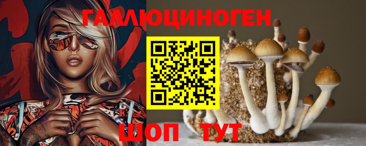Заволжье  Псилоцибиновые грибы Cubensis  наркота  Вход с VPN 